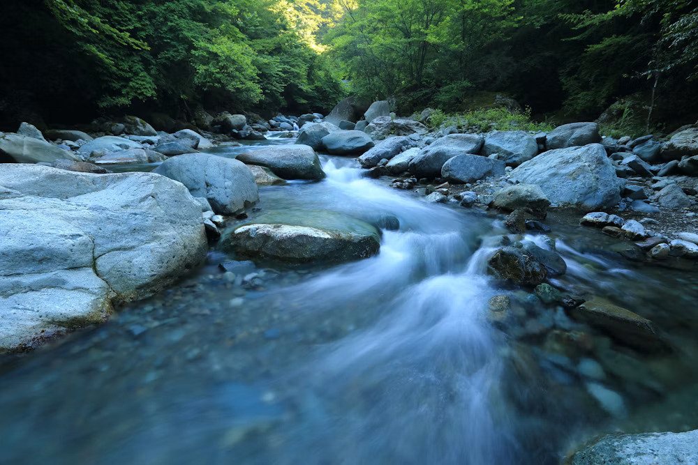 Water Resource Management
